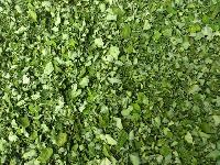 Natural Moringa Leaves