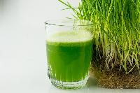 Organic Wheatgrass Juice