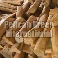 indian sandalwood