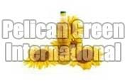 Sunflower Oil