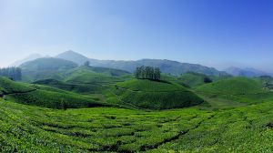 Bangalore Munnar Tour Packages