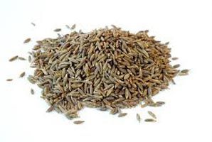 Cumin Seeds