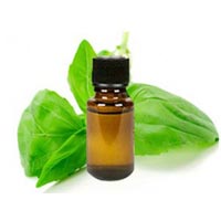 Basil Oil