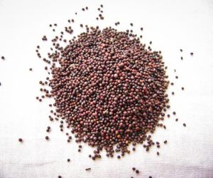 Black Mustard Seeds