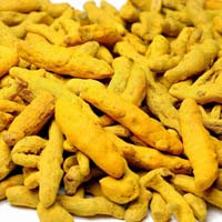 dried turmeric finger