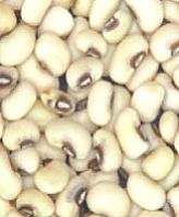 White Kidney Beans