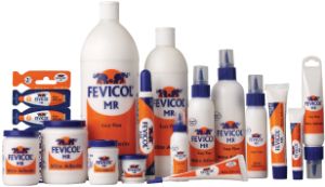 Fevicol Adhesive Gum