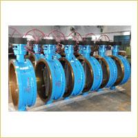 Butterfly Valves