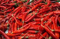 Chilli