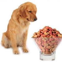 Dog Food Products