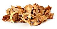 dehydrated oyster mushroom