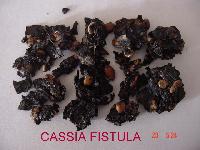 Cassia Fistula Extract