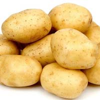 Fresh Potato