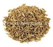 Cumin Seeds