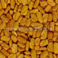 Fenugreek Seeds