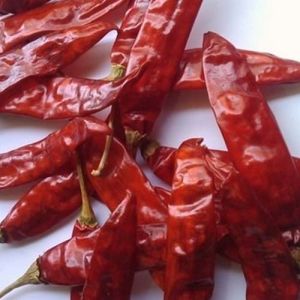 Red Chillies