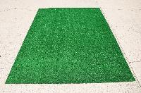 Artificial Grass Carpet