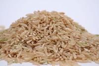 Brown Rice