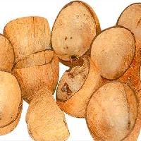 Coconut Shell Chips