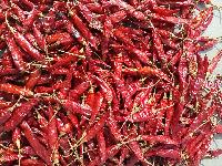 Dried Red Chilli