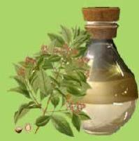 sandalwood essential oils