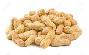 Shelled Peanuts