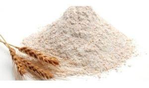 Organic Wheat Flour