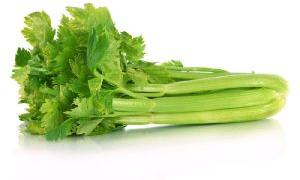 Fresh Celery