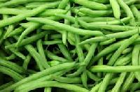 Fresh Green Beans