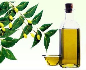 Neem Oil