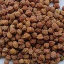 Black Chickpeas