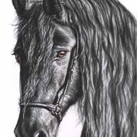 charcoal drawing paintings