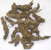 Taggri Root