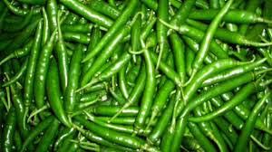 Fresh Green Chili