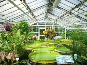 Green House Installation Services