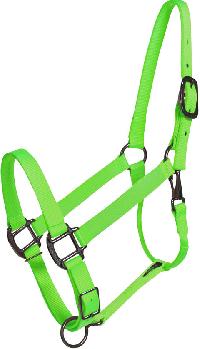 Horse Halters