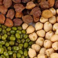 Indian Pulses