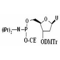 3'-O-(4, 4'-dimethoxy trityl)-1'-2'-dideoxy D Ribose-5'-[(2-cyanoethyl)-(N, N-diisopropyl)]-phosphoramide