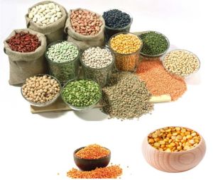 Indian Pulses