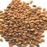 Fenugreek Seeds