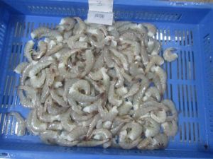 Frozen Vannamei Shrimp