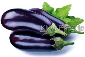 Fresh Brinjal