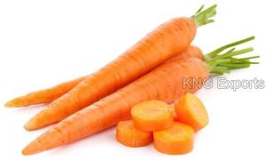 Fresh Carrot