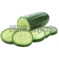 Fresh Cucumber