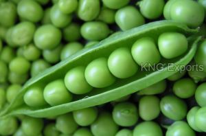 Fresh Green Peas