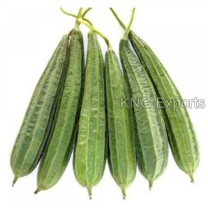 Fresh Ridge Gourd