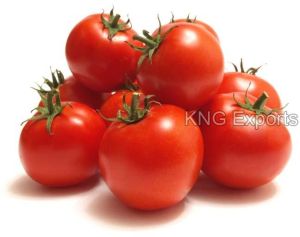 Fresh Tomato