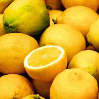 Fresh Lemon