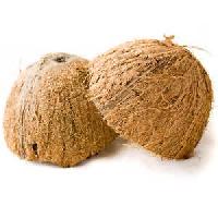 Coconut Shell