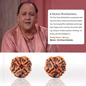 4 Mukhi Rudraksha from Teleone